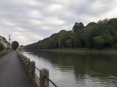 仁德天皇陵古墳外濠、水面與樹木