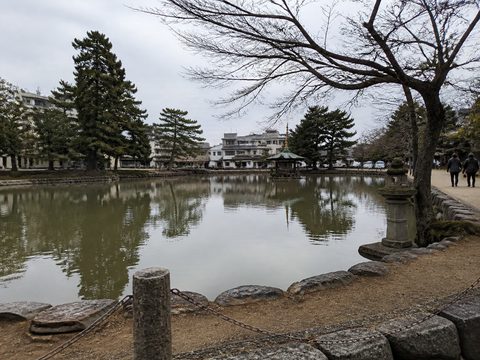 2019-02-13 S1 配圖