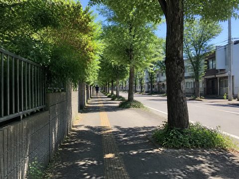 2019-08-05 S1 配圖