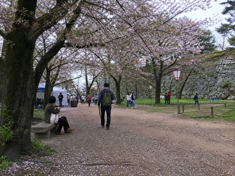 2019-04-08 S2 配圖