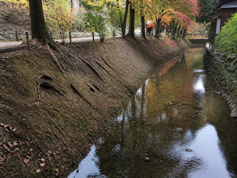 御土居土壘與紙屋川