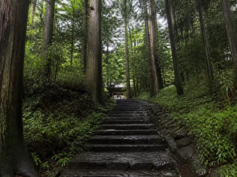 2019-08-31 S1 配圖
