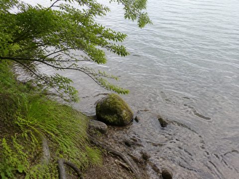 2019-07-28 S2 配圖