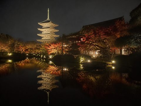 東寺五重塔夜間倒影