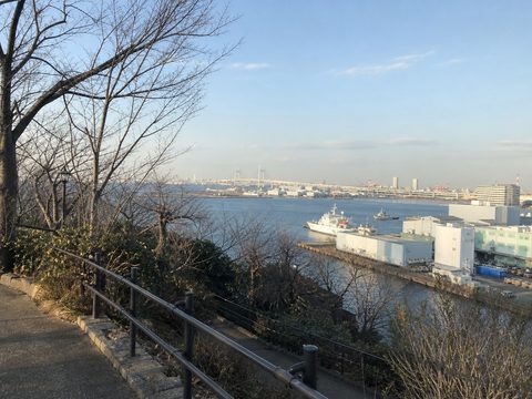 港見丘公園俯望冬日橫濱港