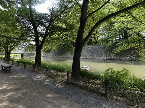 2019-09-07 S2 配圖