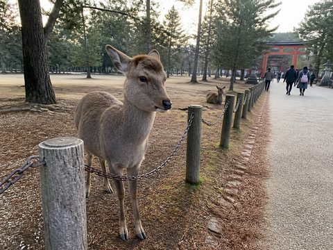 2019-02-16 S1 配圖