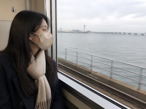 南海電車窗外的冬日海面