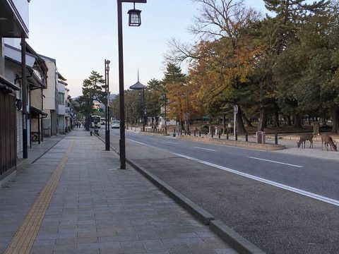 三條通通往奈良公園
