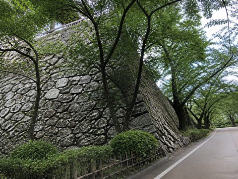 2019-06-08 S1 配圖