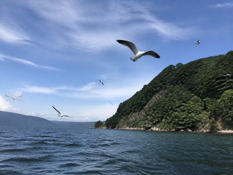 2019-08-16 S2 配圖