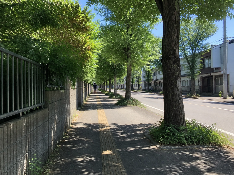 2019-08-05 S1 配圖
