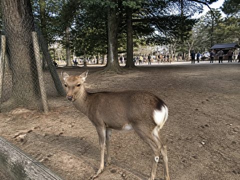 2019-02-14 S2 配圖