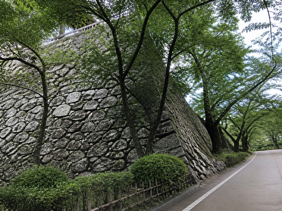 2019-06-08 S1 配圖